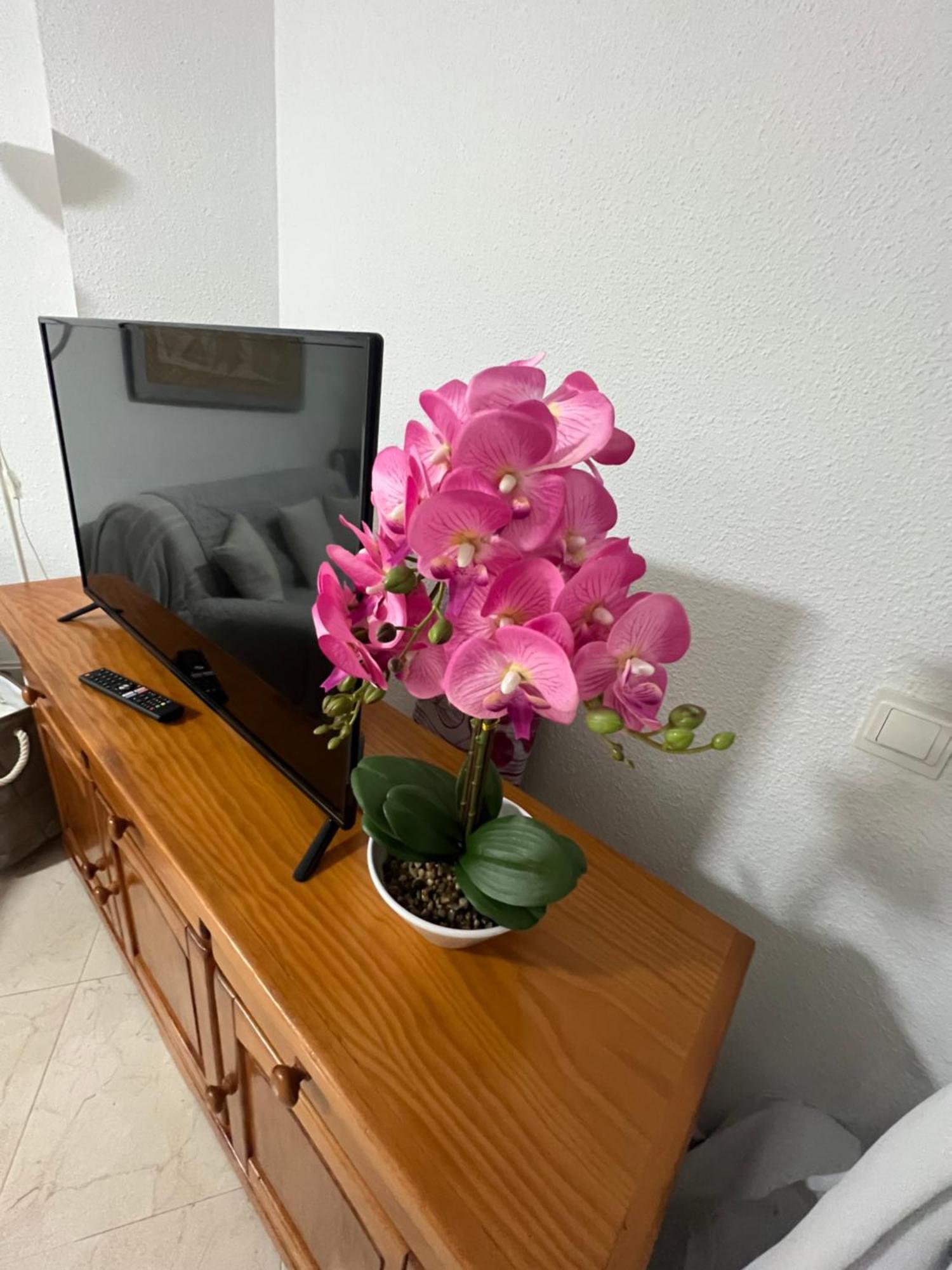 Estudio Mar En Calma, Primera Linea De Playa Con Vistas Al Mar ตอร์ร็อกซ์ ภายนอก รูปภาพ